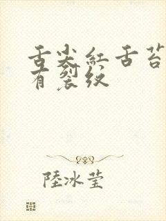 舌尖红舌苔黄腻有裂纹