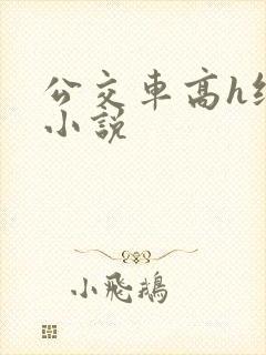 公交车高h纯肉小说