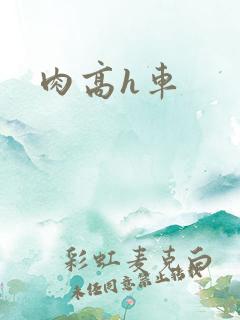 肉高h车