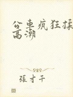 公车疯狂揉肉蒂高潮