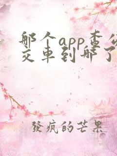 那个app查公交车到哪了