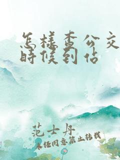 怎样查公交什么时候到站