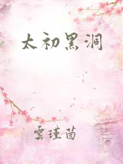 太初黑洞
