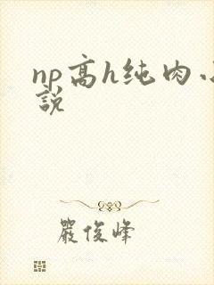 np高h纯肉小说