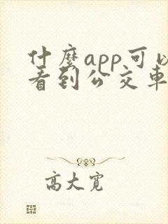什么app可以看到公交车的实时信息