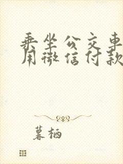 乘坐公交车怎么用微信付款 乘坐公交车怎么用微信付款