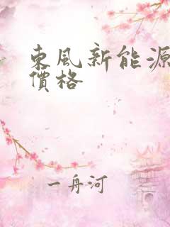 东风新能源车型价格