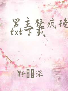 男主发疯后小说txt下载