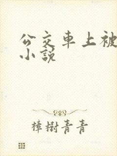 公交车上被人插小说
