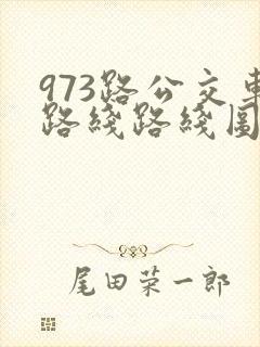 973路公交车路线路线图