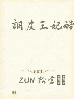调皮王妃酷王爷