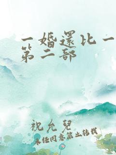 一婚还比一婚高第二部