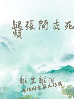 腿张开爽死你视频