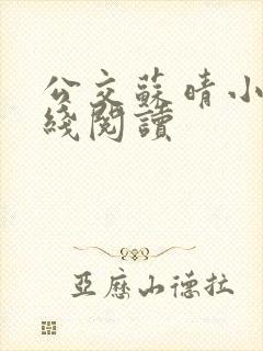 公交苏晴小说在线阅读