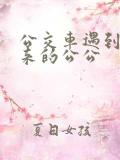 公交车遇到农村来的公公