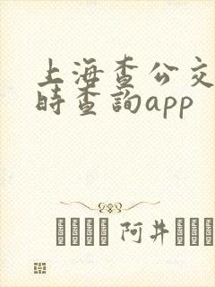 上海查公交车实时查询app