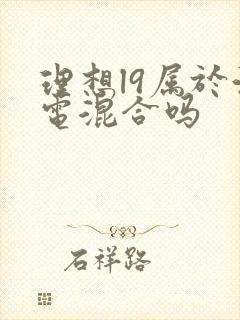 理想l9属于油电混合吗