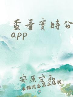 查看实时公交的app