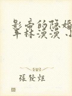 影帝的隐婚妻子平林漠漠 小说