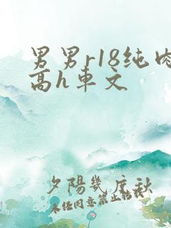 男男r18纯肉高h车文
