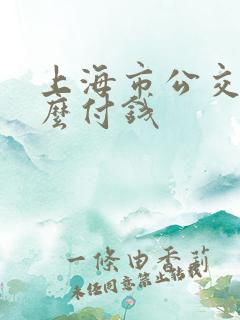 上海市公交车怎么付钱