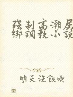 强制高潮屈辱捆绑调教小说