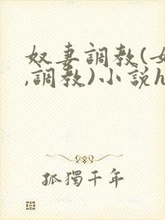 奴妻调教(女m,调教)小说hhh