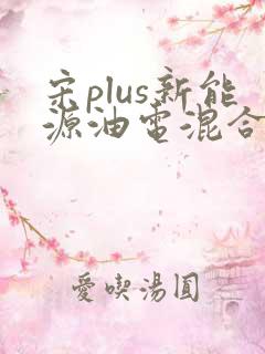 宋plus新能源油电混合七座