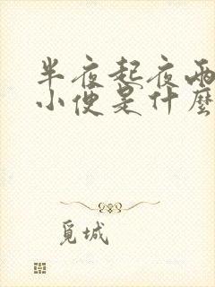 半夜起夜两三次小便是什么原因