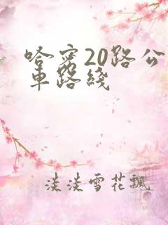 哈密20路公交车路线