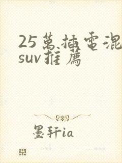 25万插电混动suv推荐