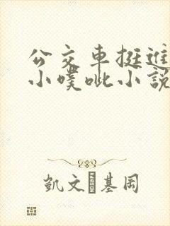 公交车挺进她的小噗呲小说
