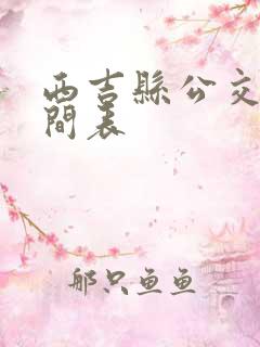 西吉县公交车时间表