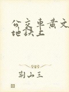 公交车黄文小说地铁上