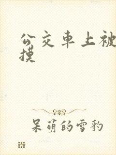 公交车上被男人摸