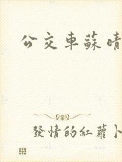 公交车苏晴小说