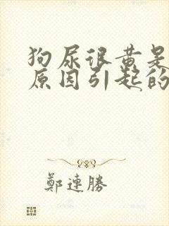 狗尿很黄是什么原因引起的