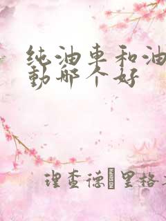纯油车和油电混动哪个好