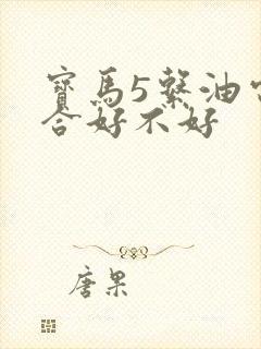 宝马5系油电混合好不好