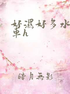 好湿好多水h公车h