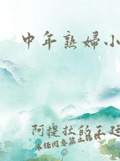 中年熟妇小说