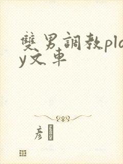 双男调教play文车