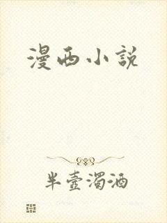 漫西小说