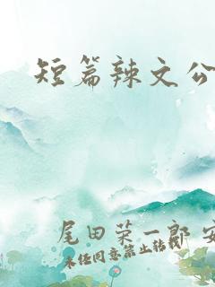 短篇辣文公车