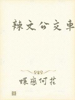 辣文公交车短篇