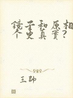 镜子和原相机哪个更真实?