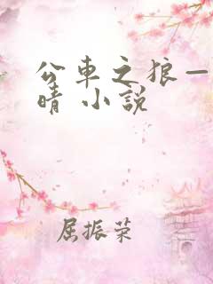 公车之狼——诗晴 小说