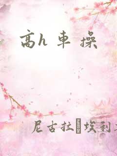 高h 车 操