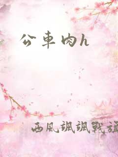 公车肉h
