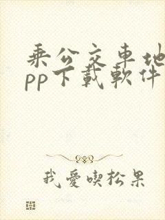 乘公交车地铁app下载软件
